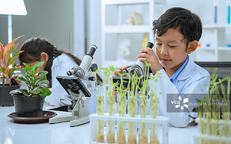 两个孩子在做科学实验。孩子们在学校实验室里学习化学图片素材