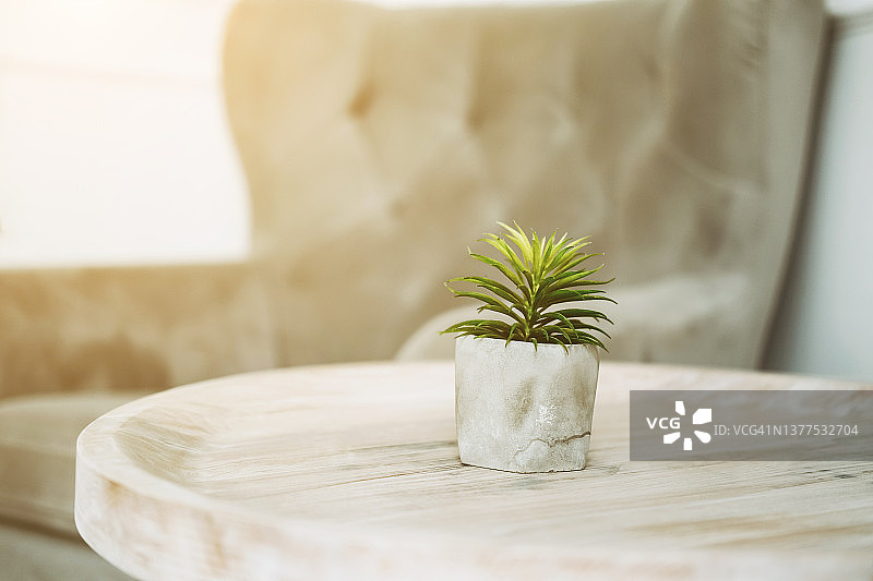 圆形木桌上纹理石罐中的绿色小植物图片素材