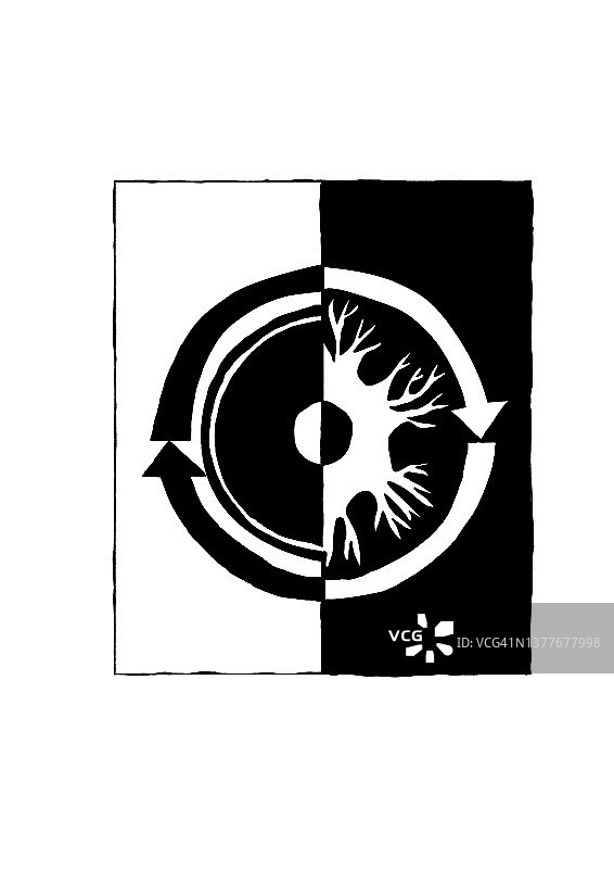 围绕干细胞的两个循环箭头，一半不确定，另一半是神经元图片素材