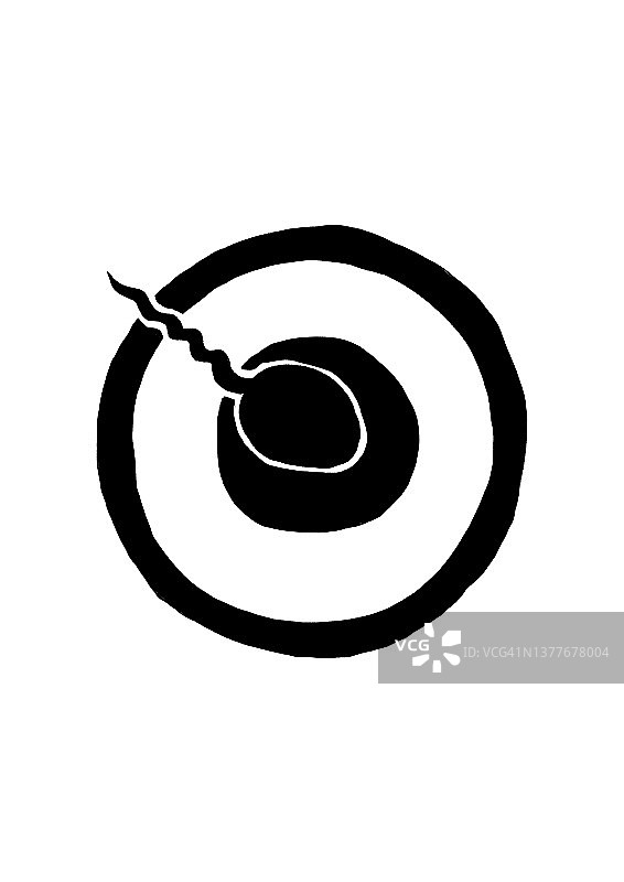 培养皿中精子与卵子的受精图片素材