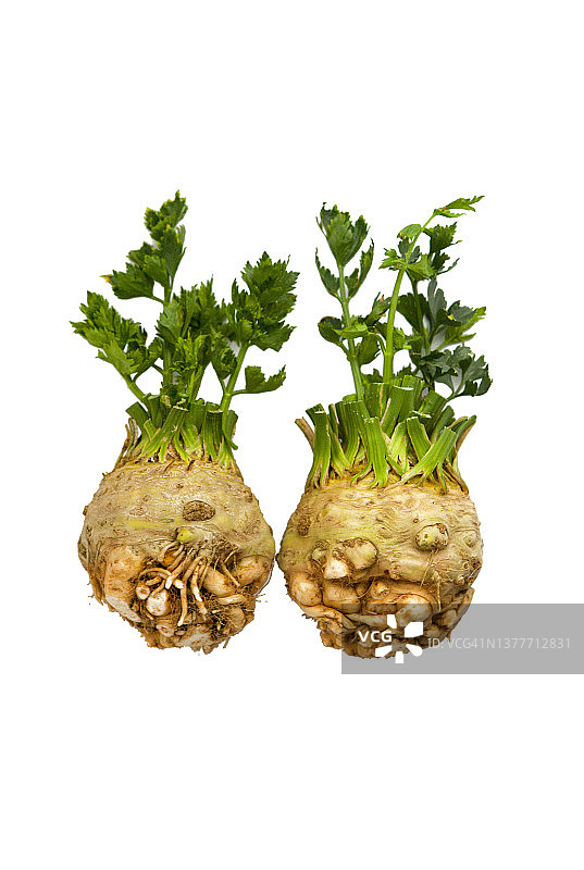 展示中的芹菜图片素材