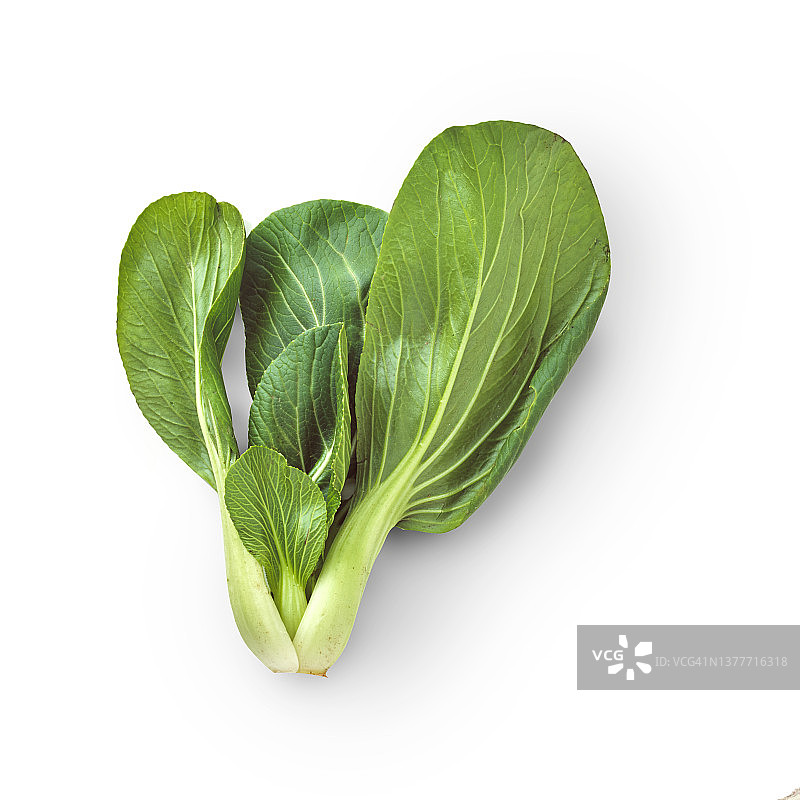小白菜图片素材