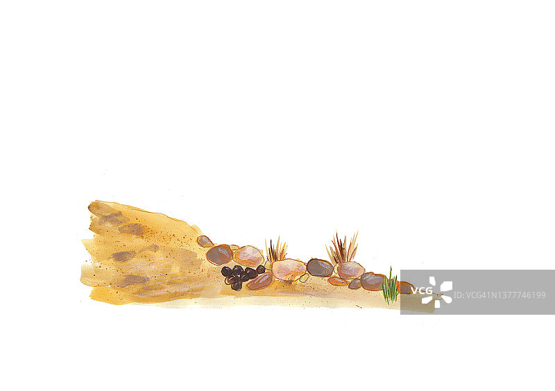 沙漠地面与动物粪便景观图片素材