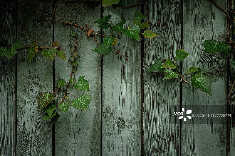 手绘木板纹理图片素材