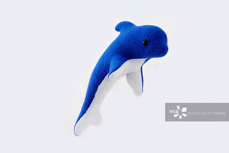 毛绒玩具海豚图片素材