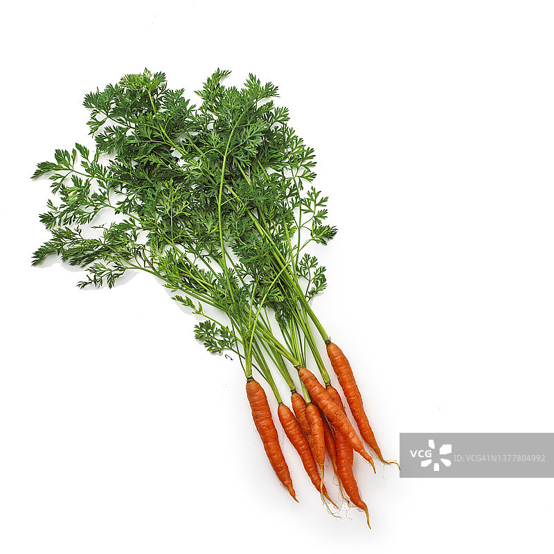 成捆的胡萝卜图片素材