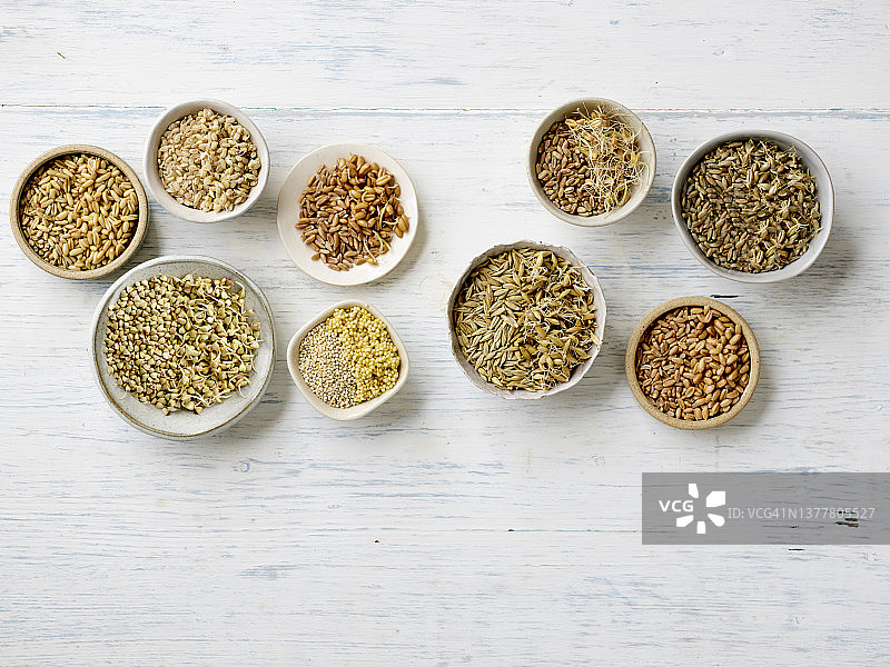 碗中已发芽和未发芽的谷物，在粉刷过的木质背景上图片素材