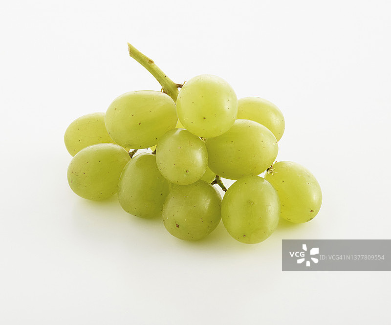 白葡萄图片素材