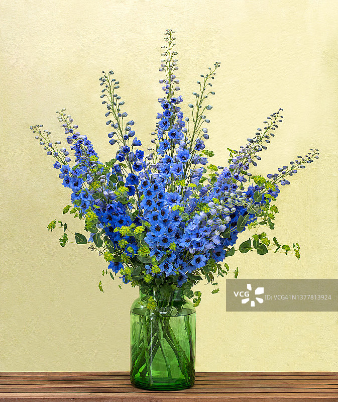 翠雀花插花图片素材