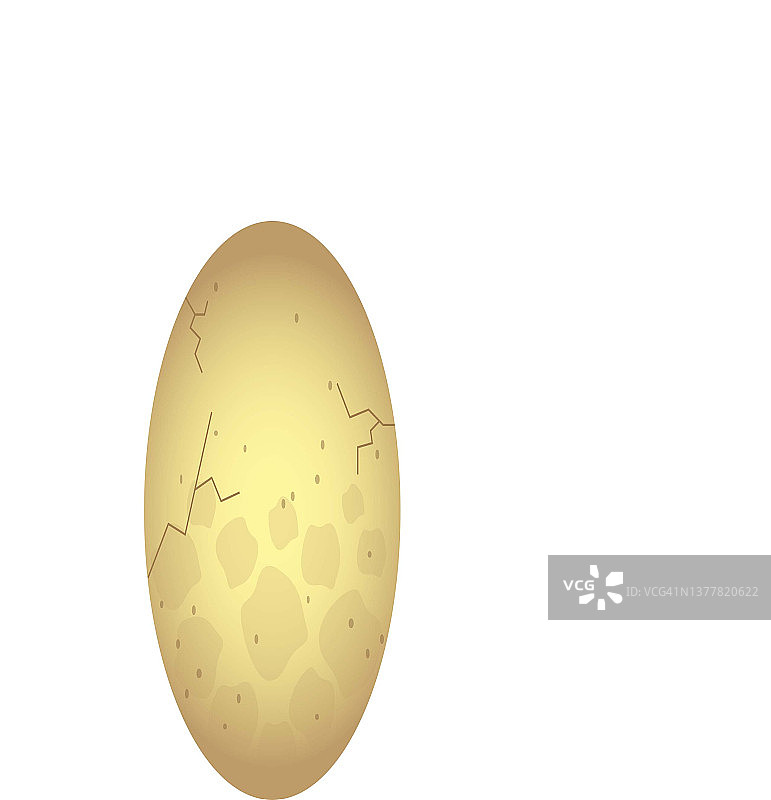 恐龙蛋的矢量艺术作品图片素材