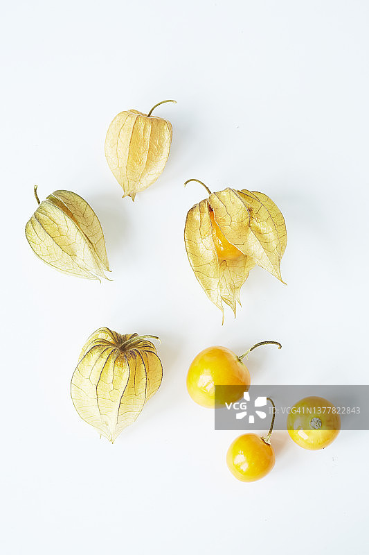 带果壳的成熟灯笼果图片素材