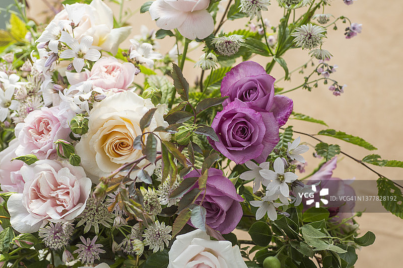 玫瑰花卉摆件图片素材