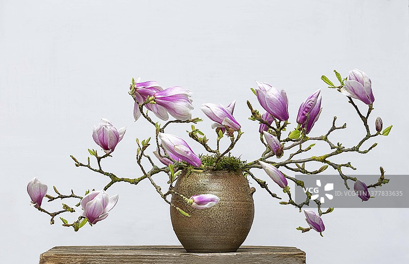 玉兰花卉摆件图片素材