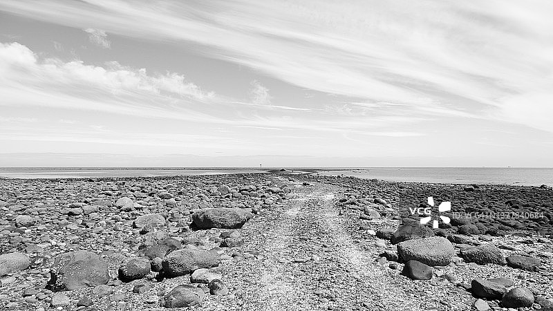 带有软体动物壳的海景全景图片素材