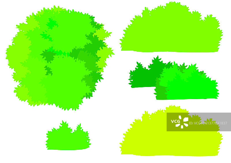 植物区系图片素材