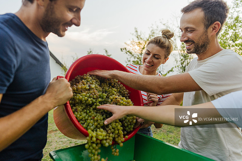 挤压葡萄图片素材