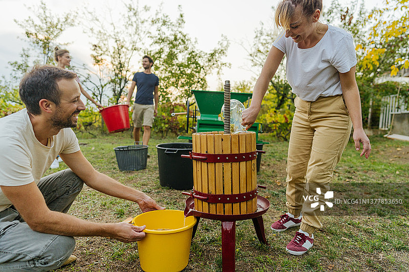 压榨葡萄图片素材