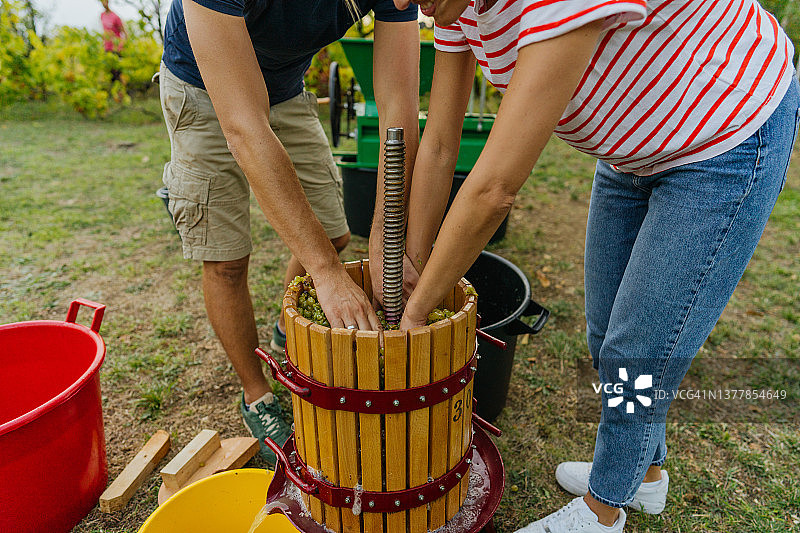 压榨葡萄图片素材