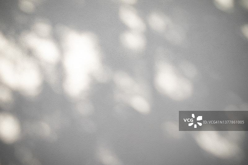 植物阴影抽象背景图片素材