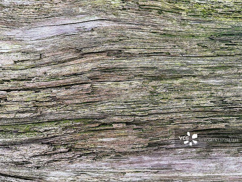 用作纹理或背景的略微腐烂的旧木头图片素材