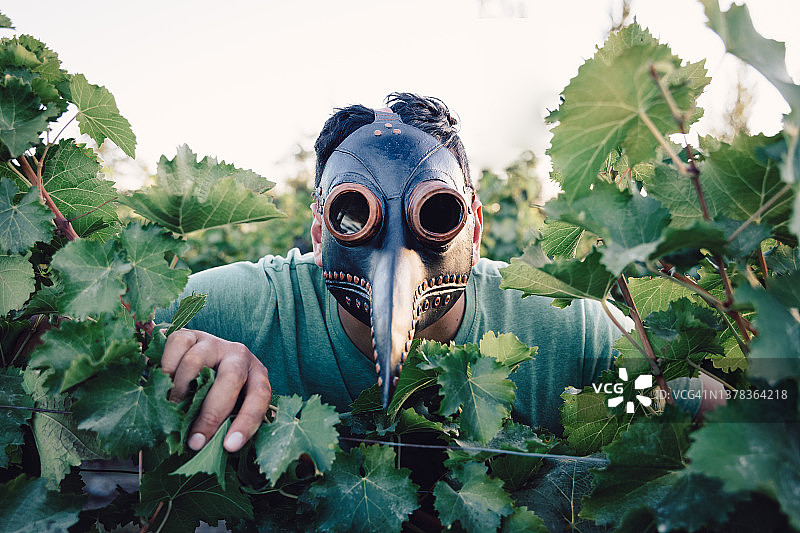 戴着中世纪蒸汽朋克瘟疫医生乳胶面具的男人图片素材