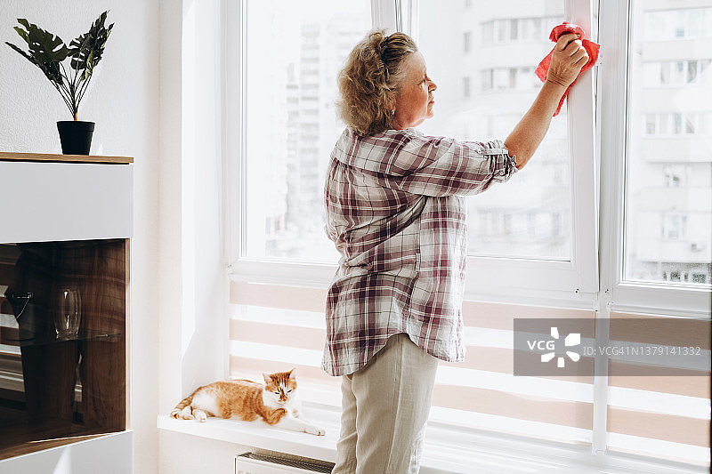 女人清洁窗户，姜色猫咪在旁图片素材