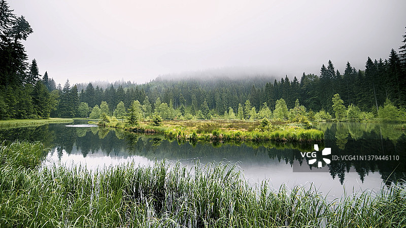 沼泽、池塘、森林和雾蒙蒙的山脉图片素材