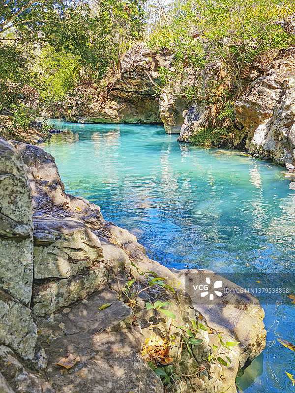 哥斯达黎加热带干燥森林中的碧绿河图片素材