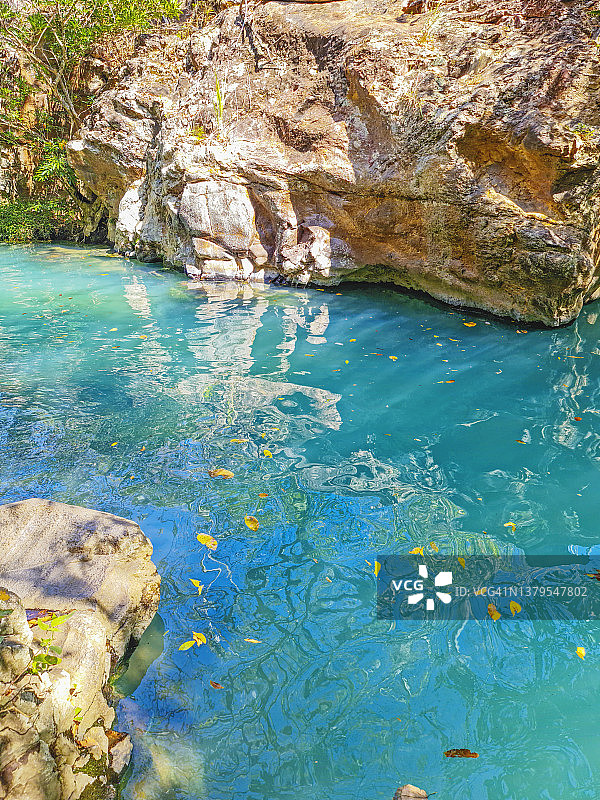 哥斯达黎加热带干燥森林中的碧绿河图片素材