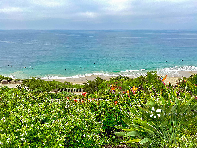 前景是美丽的花朵，背景是加州达纳 point 的冲浪者图片素材