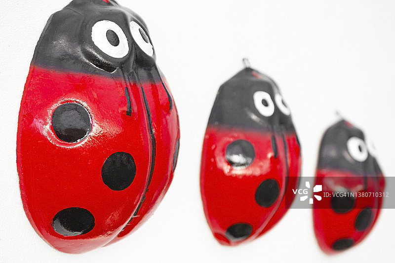 白色背景上的瓢虫图片素材