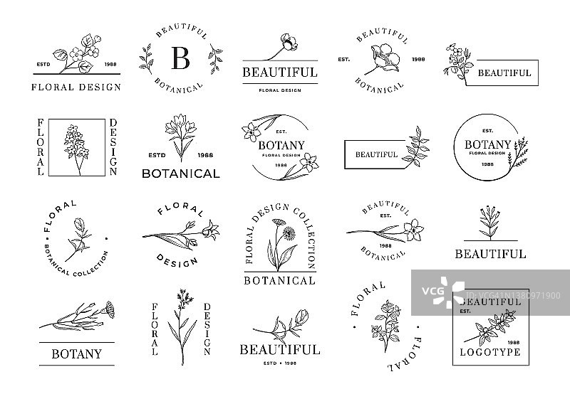 花卉Logo：化妆品、美容、婚礼邀请函和有机商店的简约植物标志，花卉和植物枝条，文字和边框，矢量书法植物图标集图片素材
