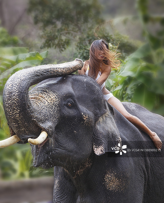 骑大象的亚洲女人图片素材