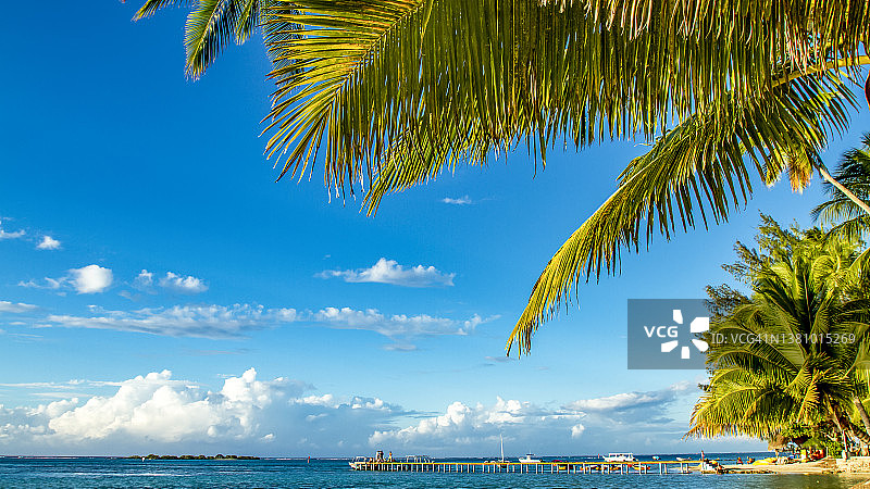 茉莉雅岛内部图片素材