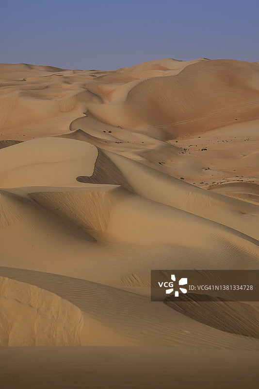 沙漠中的沙丘图片素材