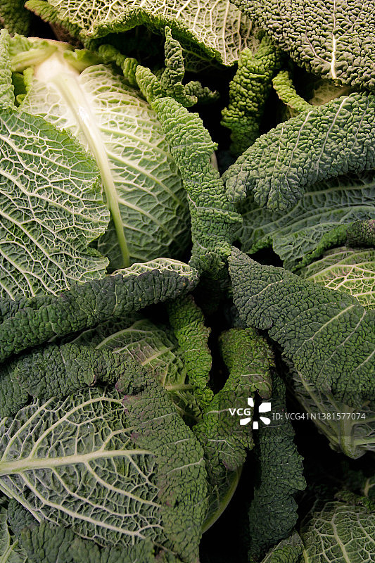 卷心菜图片素材