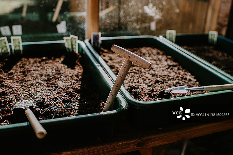 温室中装满土壤的绿色塑料种子托盘中的播种工具图片素材