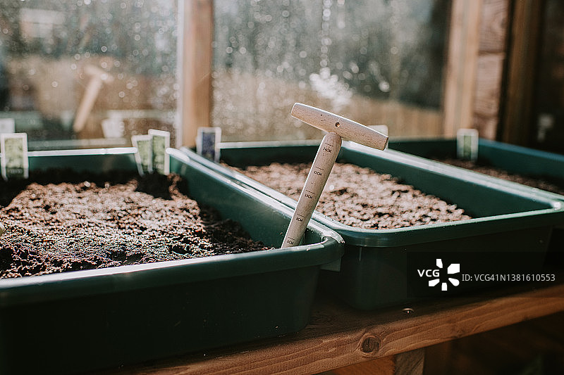 温室中装满土壤的绿色塑料种子托盘中的播种工具图片素材