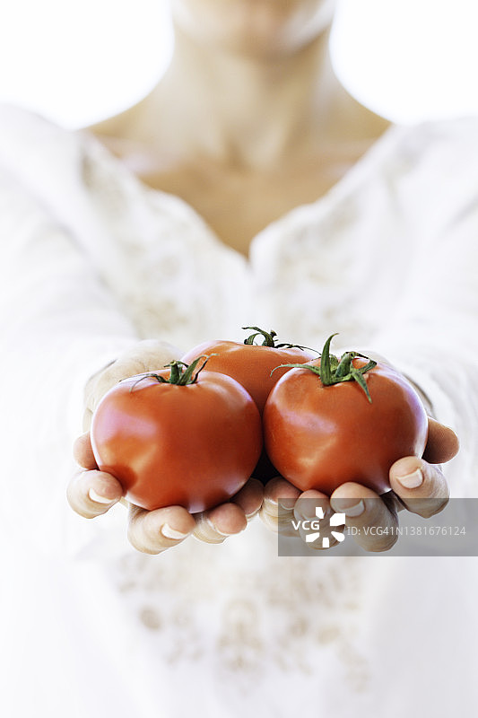 西红柿图片素材