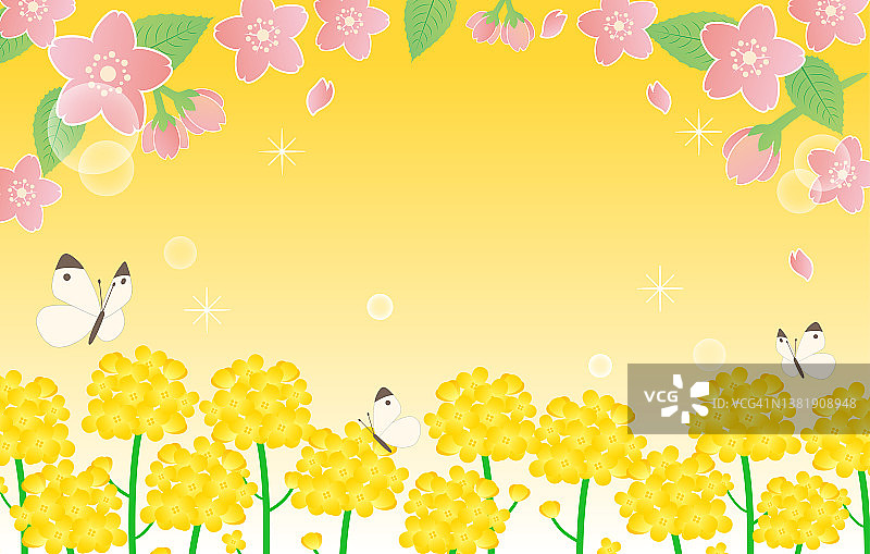 油菜花田与蝴蝶春季插画图片素材