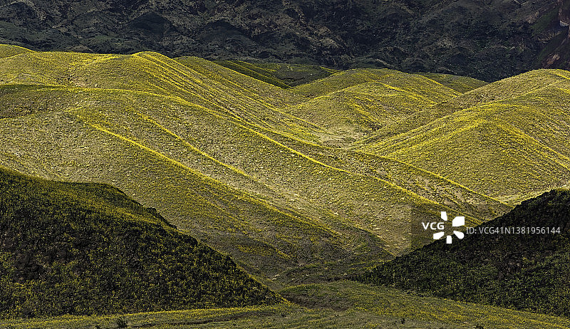 加利福尼亚州死亡谷国家公园的魔鬼高尔夫球场。山谷底部的大盐盘。图片素材