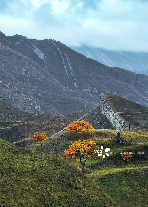 俄罗斯北高加索达吉斯坦山区梯田上的黄色树木图片素材