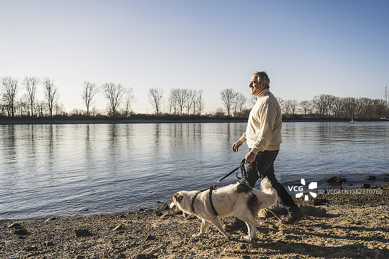 男子在海滩上遛狗图片素材
