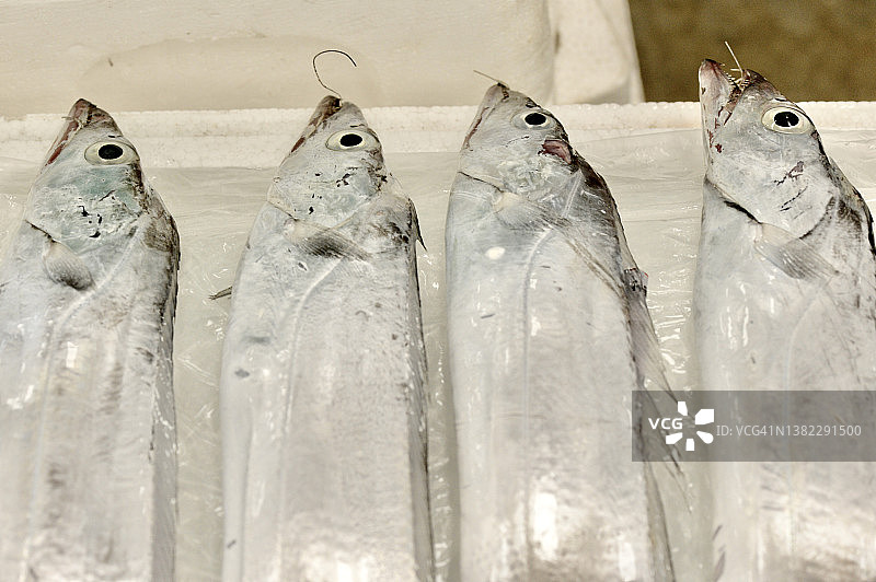 新鲜的鱼图片素材