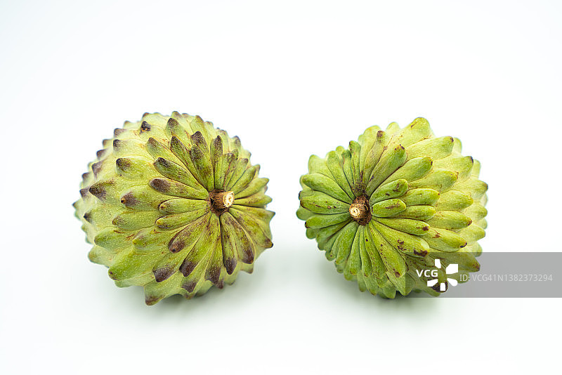 番荔枝图片素材