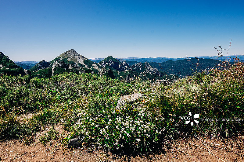 Huerquehue国家公园山景图片素材