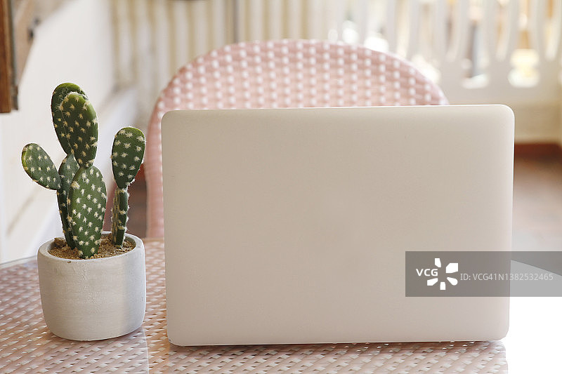 笔记本电脑和仙人掌盆栽图片素材