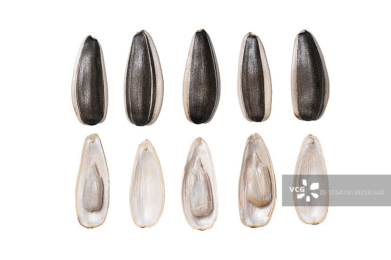 去皮和未去皮的黑色葵花籽图片素材