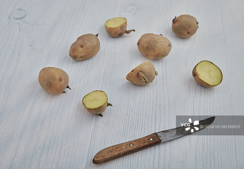 催芽切块种薯图片素材