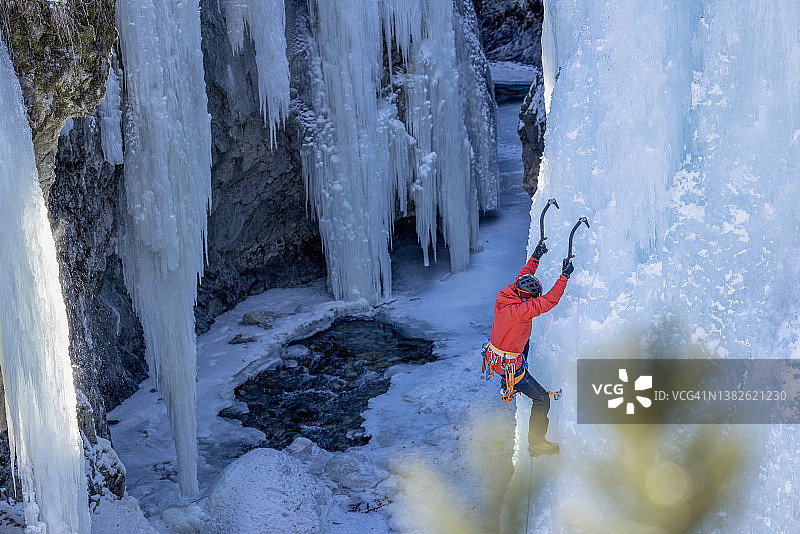 从针叶树眺望攀登冰冻瀑布的攀冰者图片素材